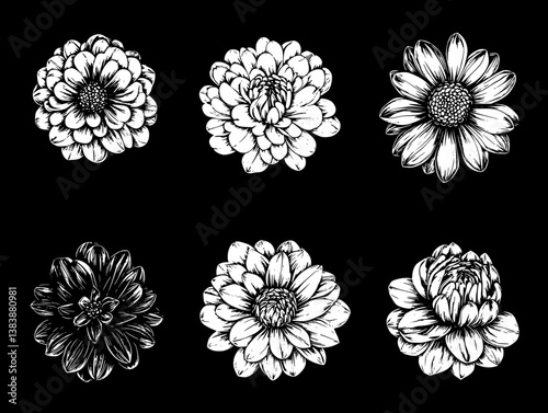 Collection of Chrysanthemums mandala vector design, Chrysanthemums illustration art