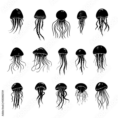Collection of Jellyfish vector designs, Jellyfish illustration art