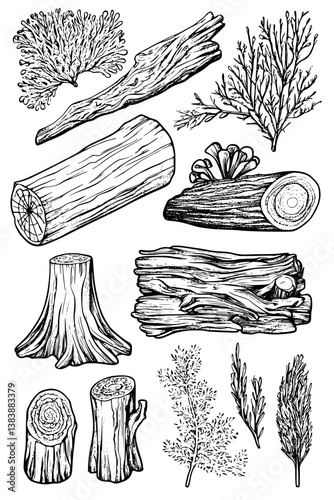 Collection of Mossy logs coloring book vector designs, Mossy logs illustration art