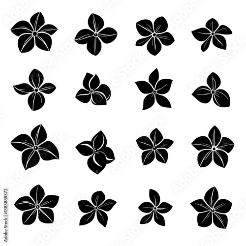 Collection of Gardenias vector designs, Gardenias vector graphic