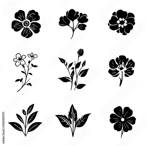 Collection of Marigolds vector designs, Marigolds vector graphic