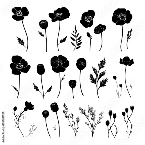 Collection of Poppies vector designs, Poppies vector graphic