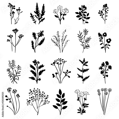 Collection of Yarrows vector designs, Yarrows vector graphic