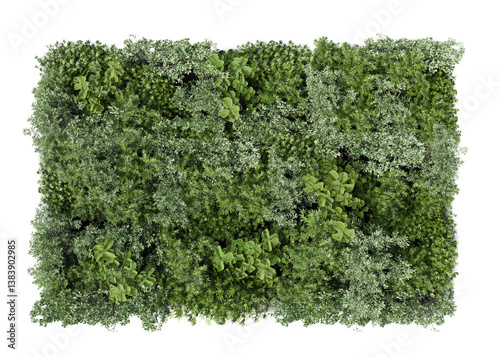 Green decorative wall with different green plants, rendered cut out image isolated on transparent background