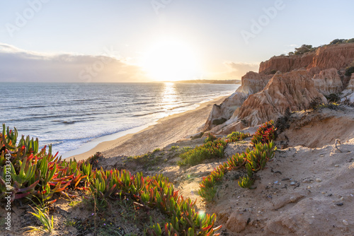 Cliffs on the Atlantic Ocean. Warm sunset in a landscape shot with purple flowers - Carpobrotus acinaciformis. Red cliffs with stunning formations on Praia da Falésia beach, Algarve, Portugal photo