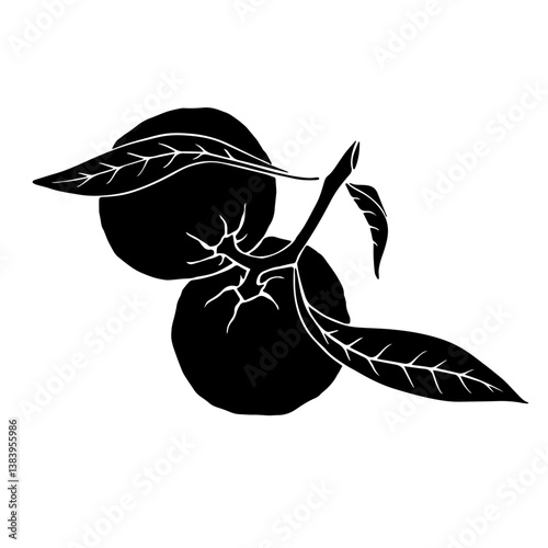 Silhouette, stamp of citrus fruits of mandarin. Vector graphics.