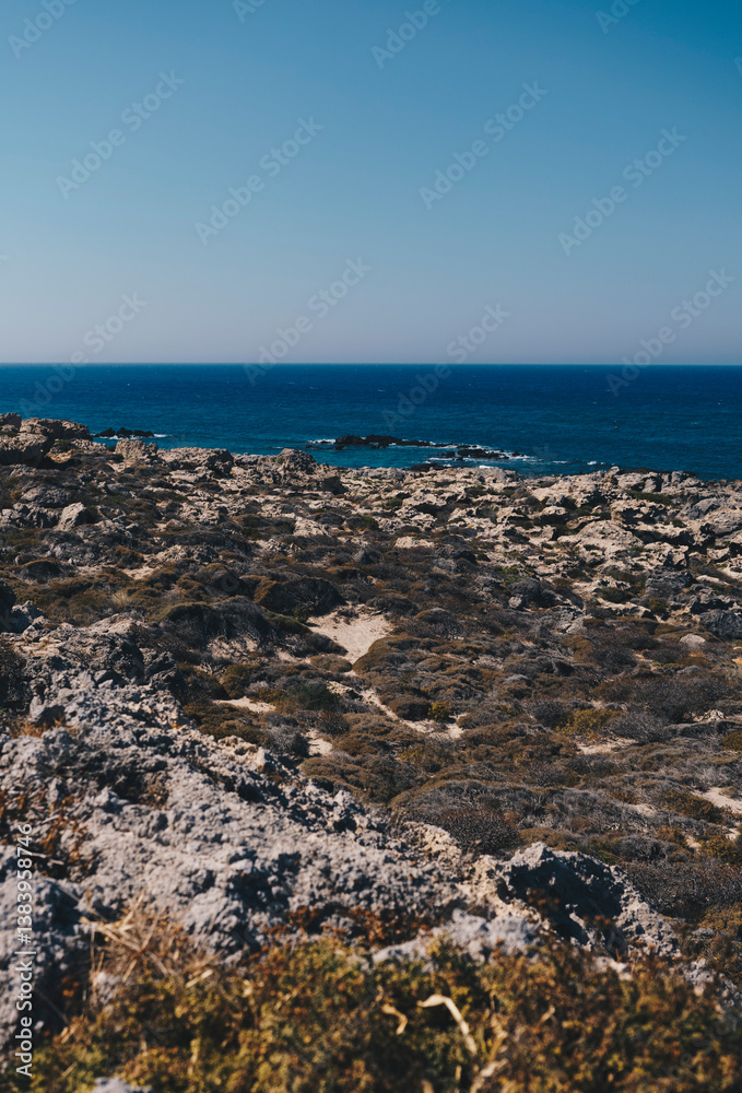Landscape with shrubby Mediterranean vegetation with Mediterranean sea in the background Landscape with shrubby Mediterranean vegetation with Mediterranean sea in the background