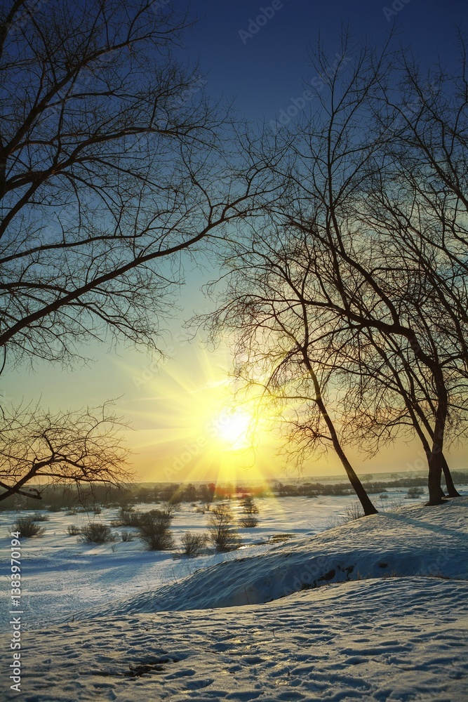 Serene winter landscape with sunset and snow covered trees Serene winter landscape with sunset and snow covered trees