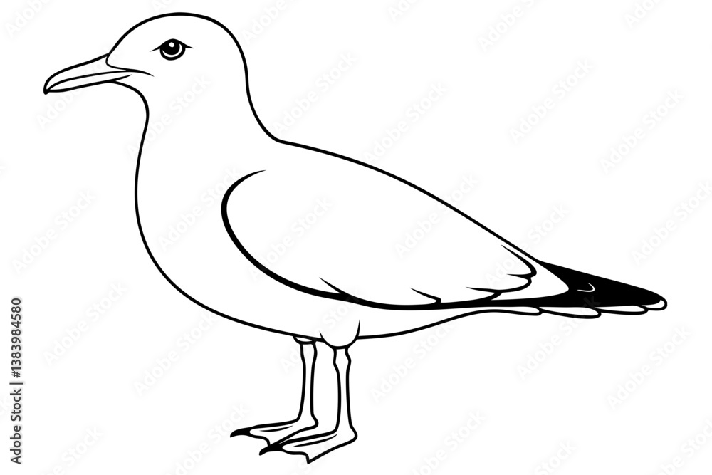 Fototapeta premium gull silhouette line art vector illustration with a white background