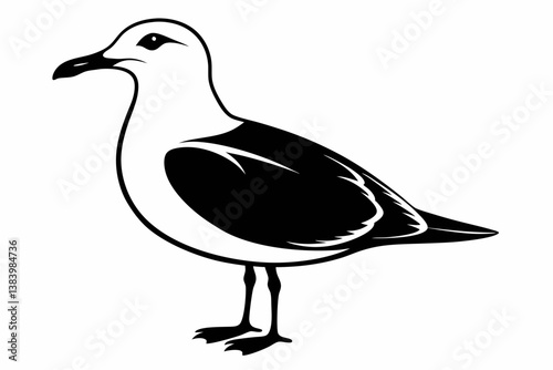 gull silhouette line art vector illustration with a white background