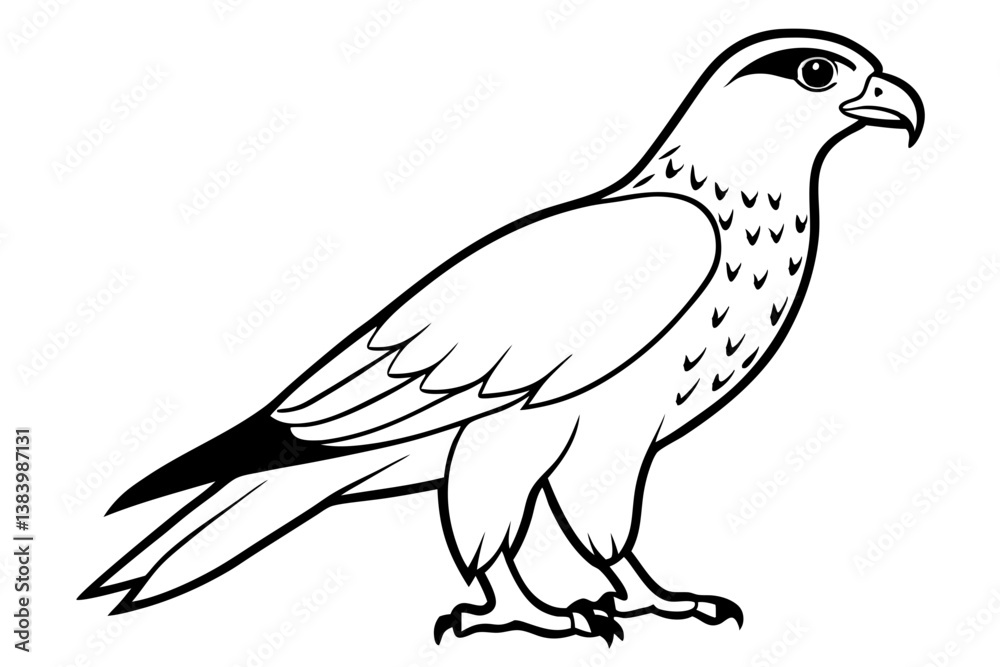 hawk silhouette line art vector illustration with a white background hawk silhouette line art vector illustration with a white background
