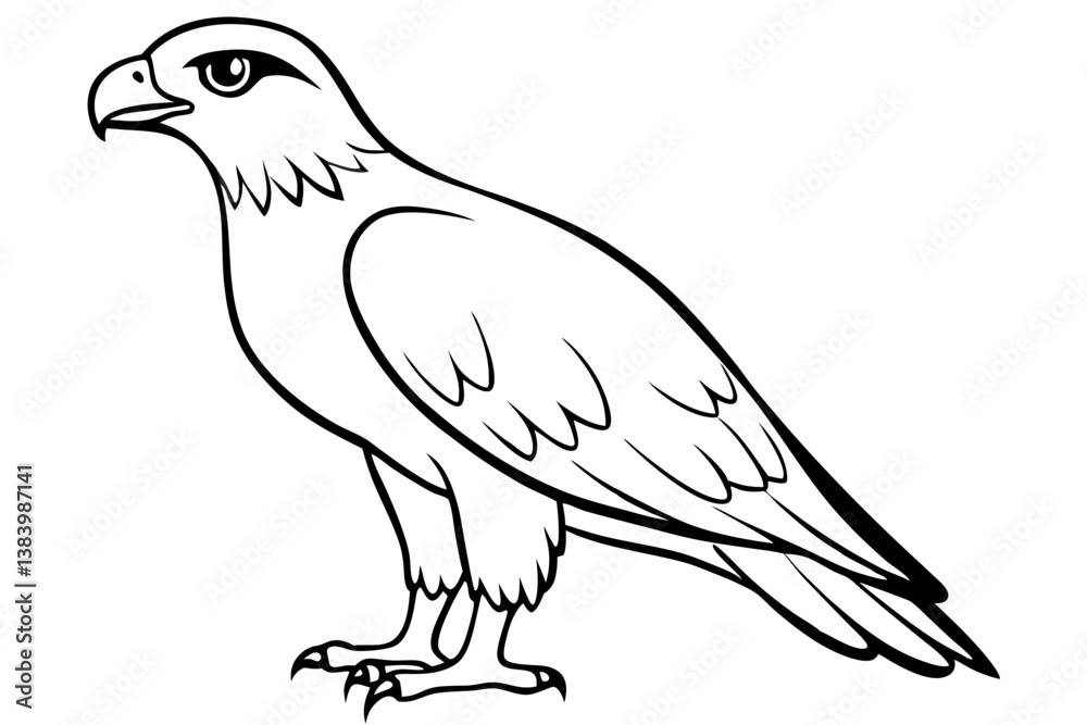 Obraz premium hawk silhouette line art vector illustration with a white background
