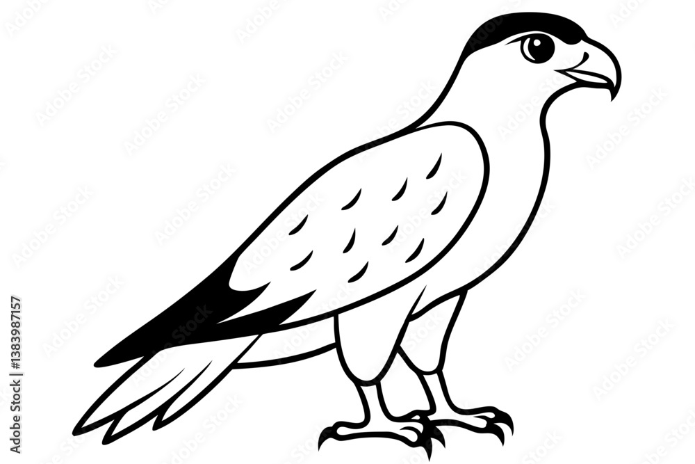 Fototapeta premium hawk silhouette line art vector illustration with a white background