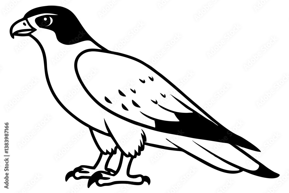 hawk silhouette line art vector illustration with a white background
