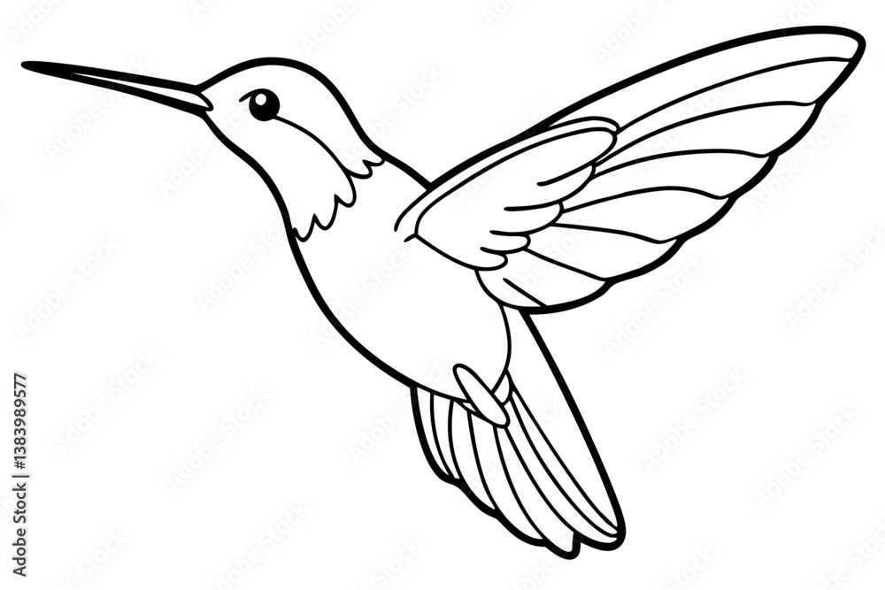 Obraz premium hummingbird silhouette line art vector illustration with a white background