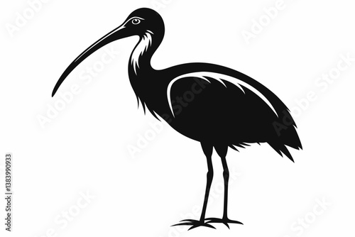 ibis silhouette line art vector illustration with a white background