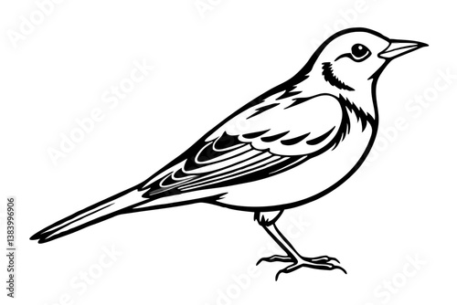 lark silhouette line art vector illustration with a white background