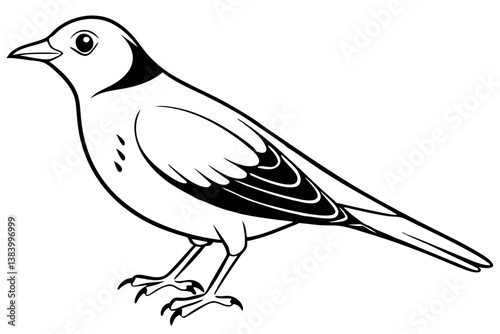 lark silhouette line art vector illustration with a white background