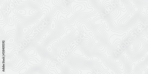 Abstract lines background Topographic map patterns White wave paper curved reliefs abstract background.Vector illustration
