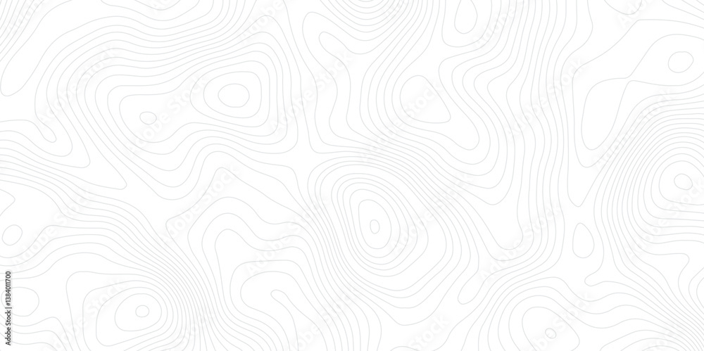 Fototapeta premium Abstract lines background Topographic map patterns White wave paper curved reliefs abstract background.Vector illustration