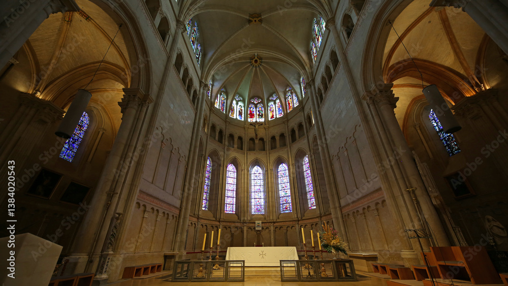 Obraz premium Catedral de San Juan Bautista. Lyon, Francia