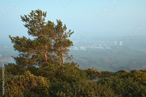 Podobny obraz