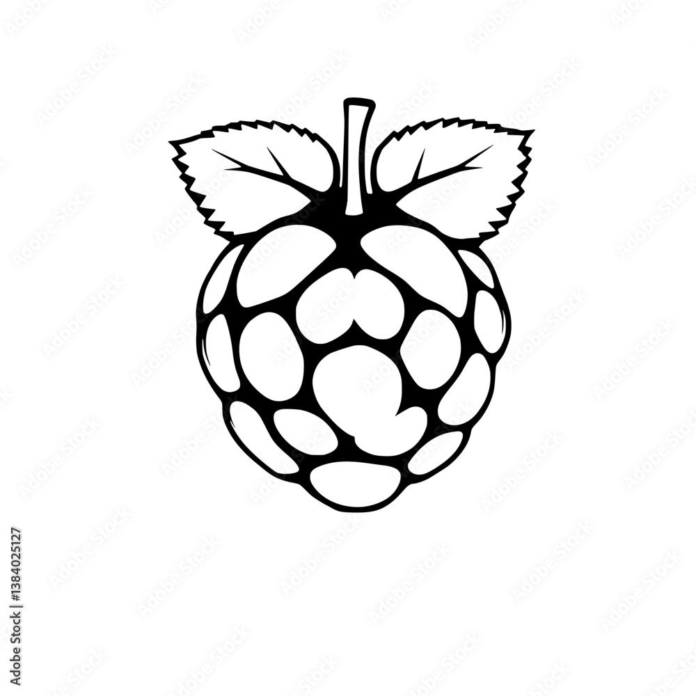 Stylized Raspberry Illustration A Black And White Design Stylized Raspberry Illustration A Black And White Design
