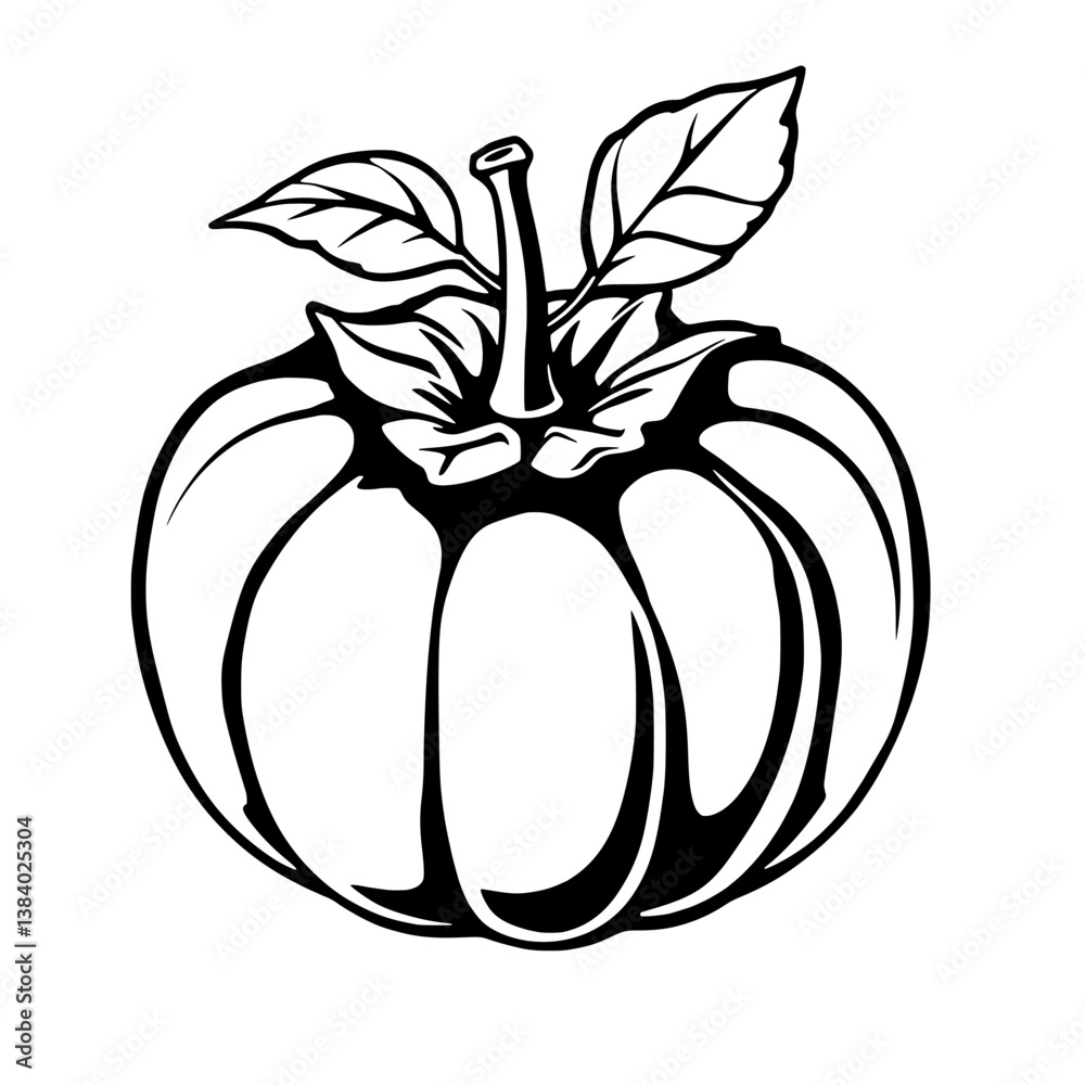 A Simple Line Drawing Of A Single Persimmon Fruit With Leaves A Simple Line Drawing Of A Single Persimmon Fruit With Leaves