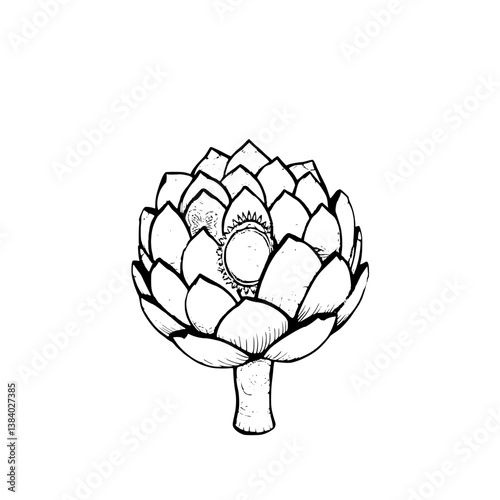 Ornate Artichoke Illustration Detailed Botanical Design