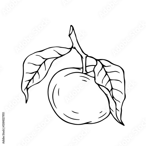 Sketch, apple tree fruit outline with leaves. Vector graphics.