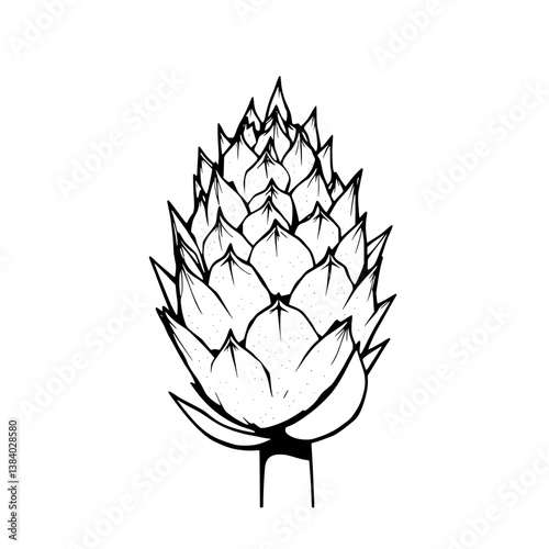 Detailed Line Art Drawing Of A Single Artichoke Bud