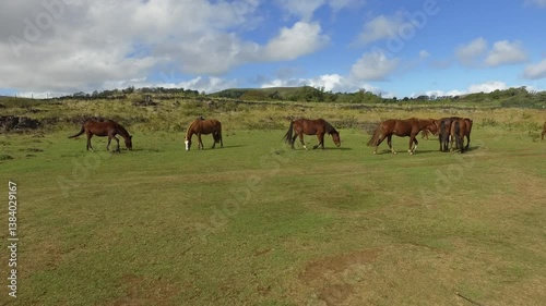 Horses grazing on the lush landscape of Easter Island near historical sites and stunning natural beauty