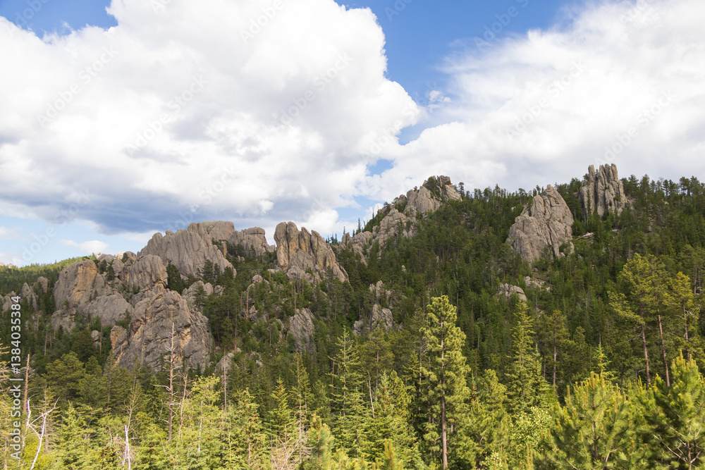 Fototapeta premium Custer State Park, South Dakota
