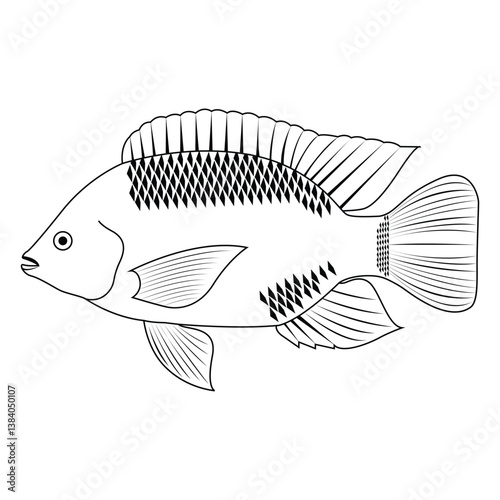  tilapia fish outline coloring book design