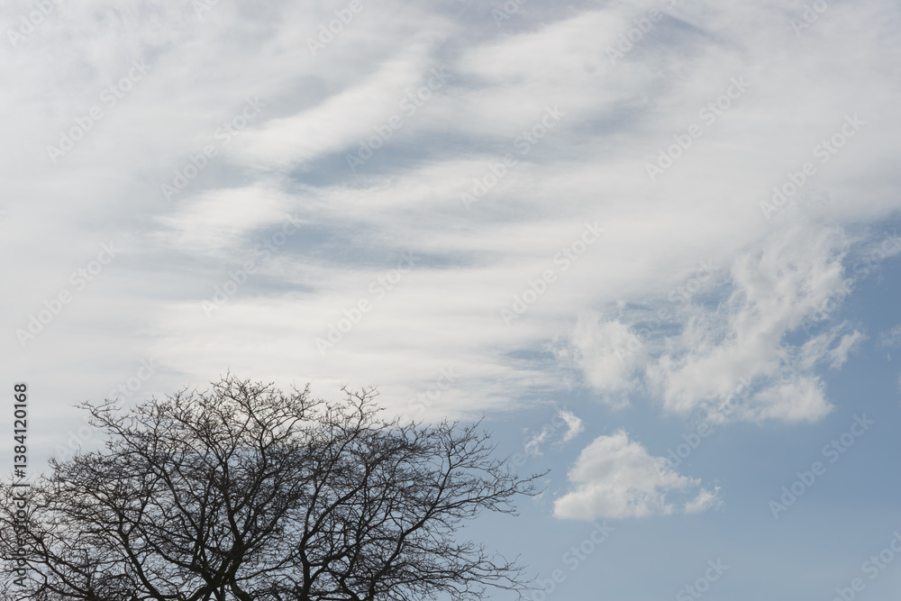 cloud formations on a light blue sky background with trees cloud formations on a light blue sky background with trees