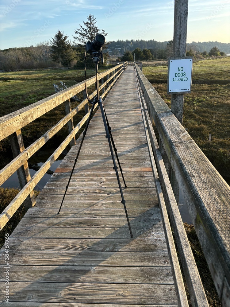 No dogs allowed sign on the estuary trail on Yaquina Bay in Newport, Oregon No dogs allowed sign on the estuary trail on Yaquina Bay in Newport, Oregon