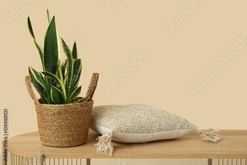 Beautiful sansevieria plant...