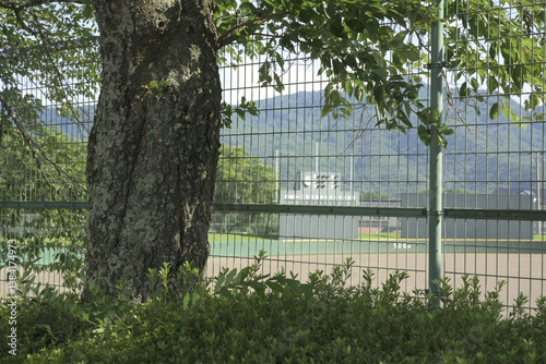 Obraz na płótnie 夏のグランドのフェンス w salonie