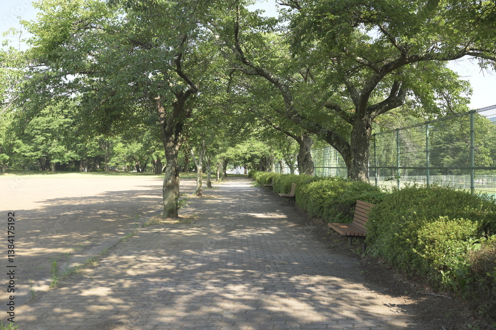 日本の真夏の無人の公園