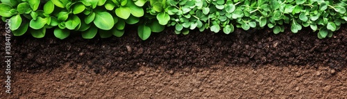 Healthy Soil with Growing Plants
