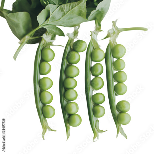 Fresh Green Peas: Vegan Food