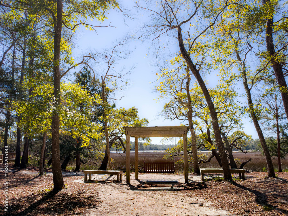 Seat and covered structure nestled in a deep wooded forest setting in a Southeastern setting of the US