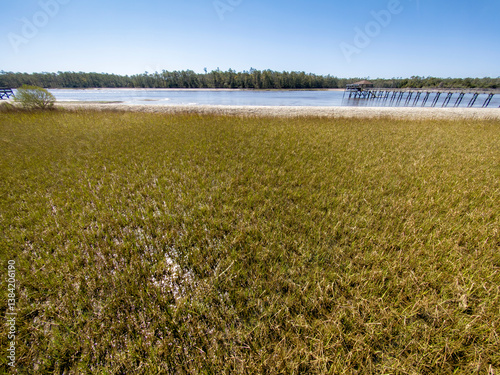 Obraz na płótnie Pier sets out during low tide nestled along the waterways in coastal area of South Carolina w salonie