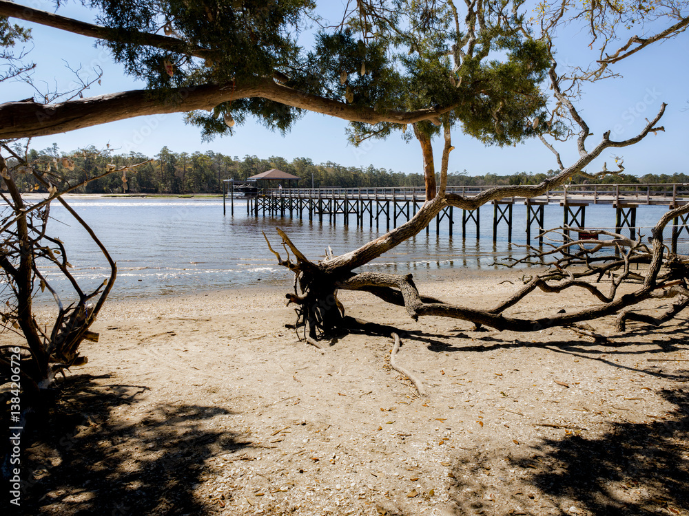 Pier sets out during low tide nestled along the waterways in coastal area of South Carolina