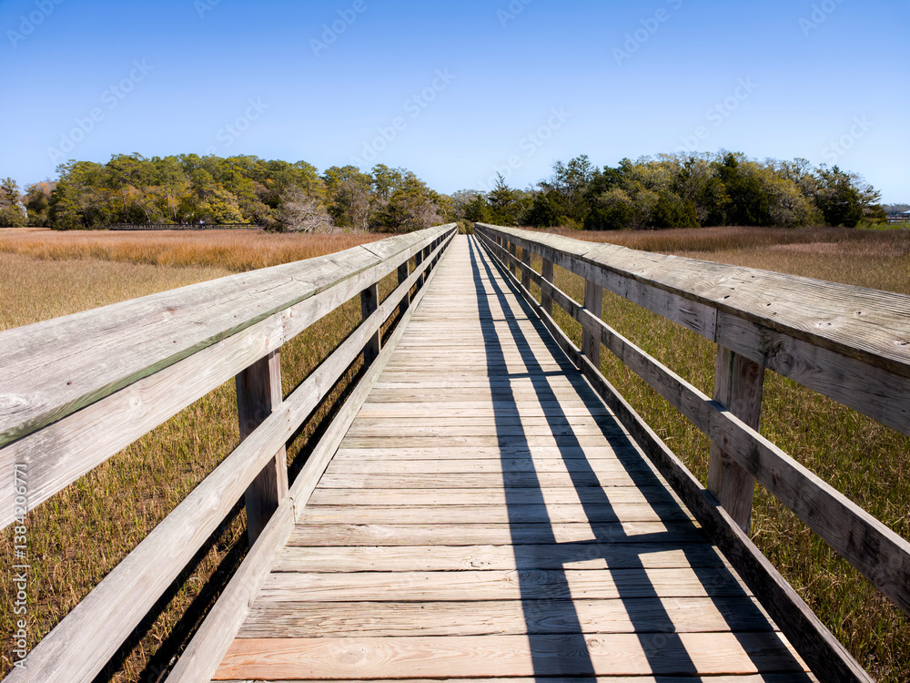 Wood bridge spanning across acres of golden reeds and marsh in a classic South Carolina landscape setting of trees