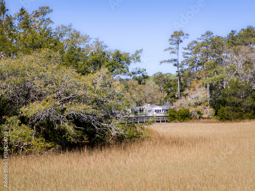 Open lush fields full of reeds, marsh with forest background in classic Southern US setting