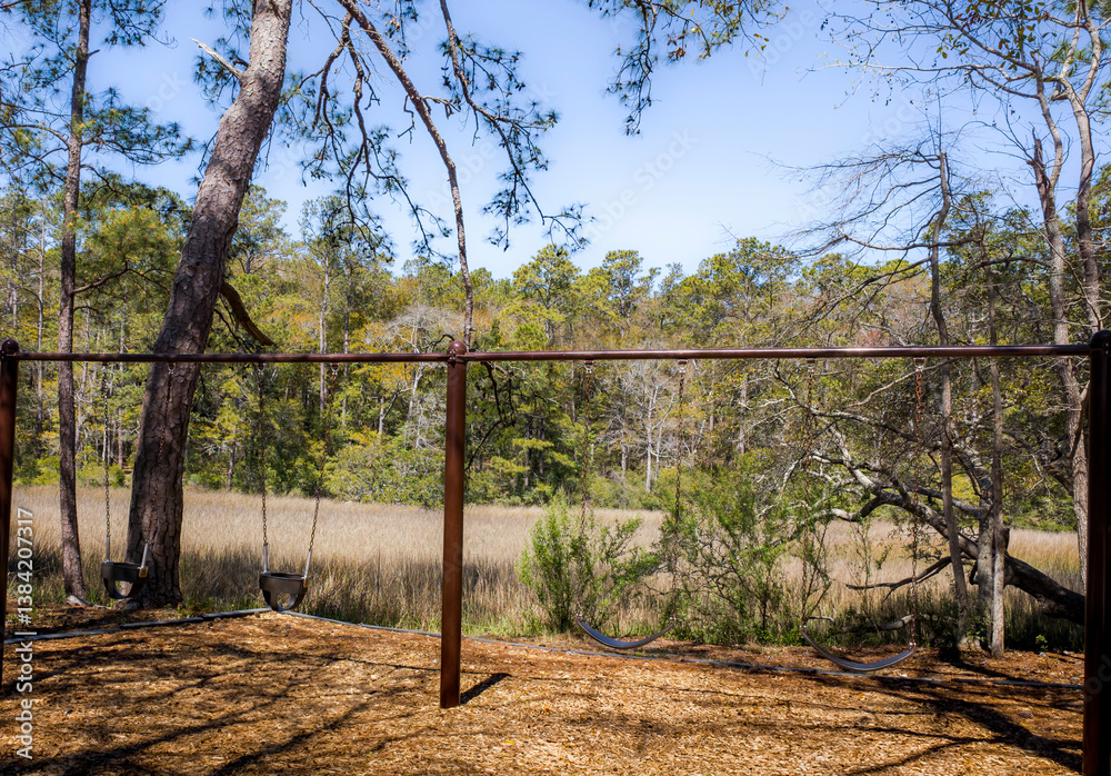 Child playground and swing set nestled in the forest and meadow of the Southeastern portion of the USA
