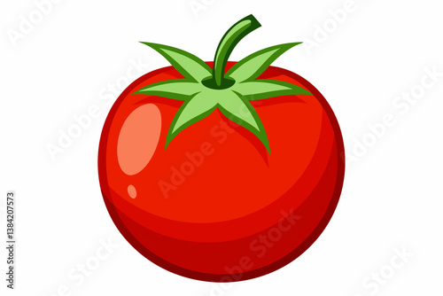 tomato on a white background