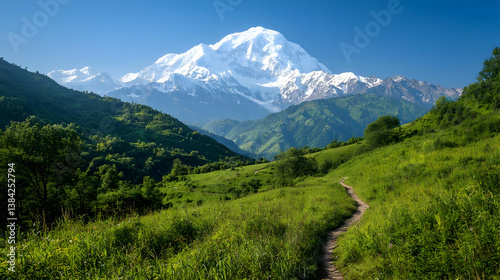 Wallpaper Mural Mountainous Landscape With Snow Capped Peak And Lush Green Valley Torontodigital.ca