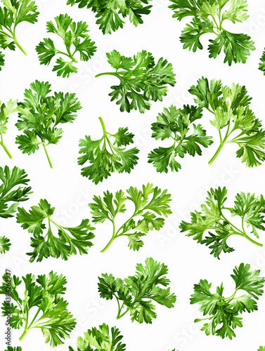 Fresh Organic Cilantro Herbs: A Green Culinary Background for Healthy Homemade Cooking and Garnishing